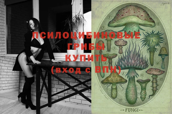 мдпв Алексин