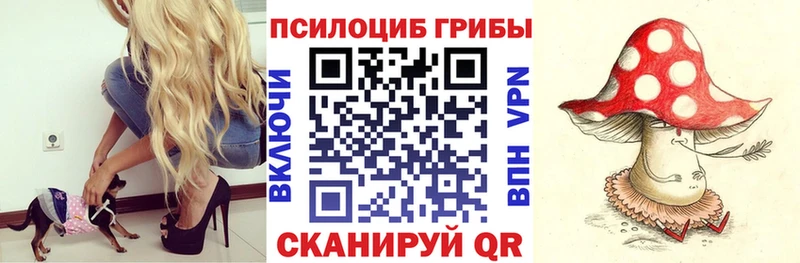 Псилоцибиновые грибы MAGIC MUSHROOMS  где продают   Ялта 
