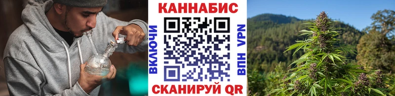 Бошки Шишки ГИДРОПОН купить сайты Ялта